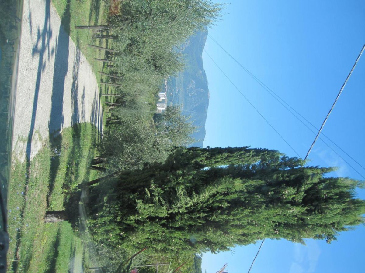 Valle Degli Ulivi Appartamento Terni Exterior photo